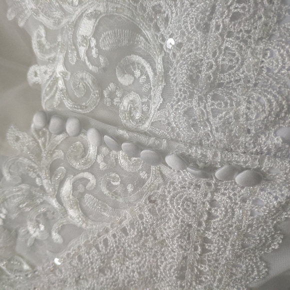 Elegant White Lace & Beaded Wedding Gown - Picture 9 of 12